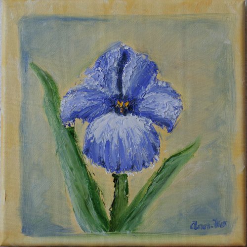 Tableau fleurs, iris bleu 20 x 20 cm