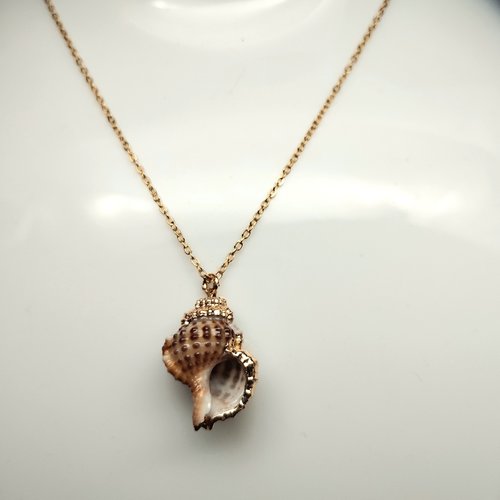 Coquillage naturel avec dorure, en pendentif sur chaîne en acier inoxydable dorée