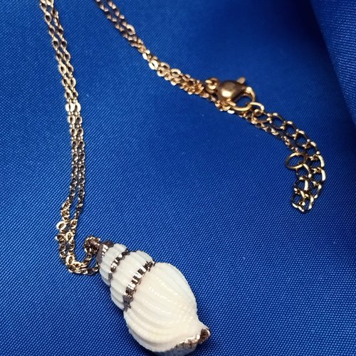 Collier acier doré avec coquillage naturel écru en pendentif