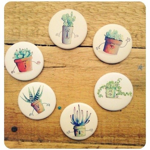 Collection de magnets les succulentes