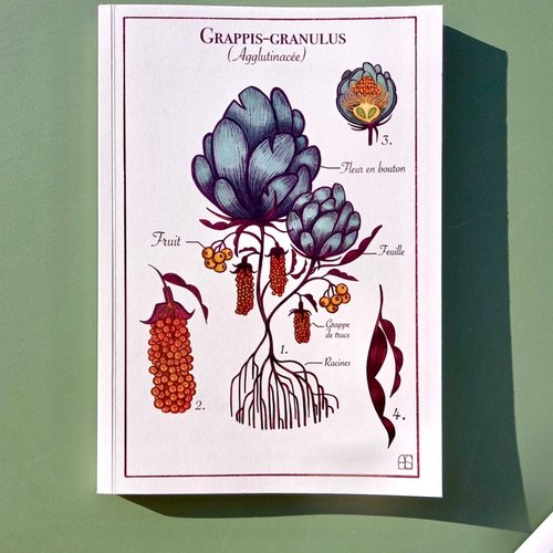 Carnet "grappis-granulus"
