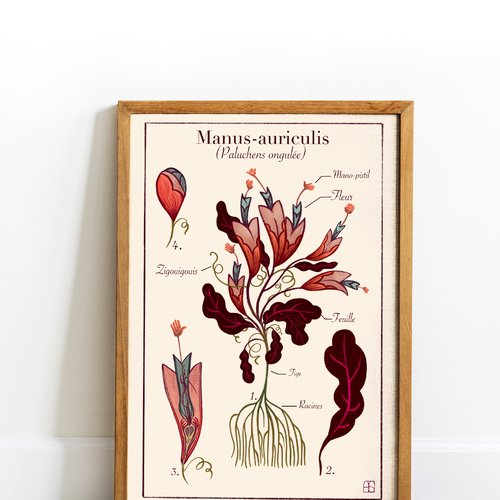 Affiche illustrée "manus-auriculis".