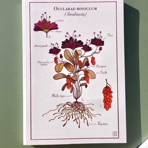 Carnet "ocularae-binoclum"