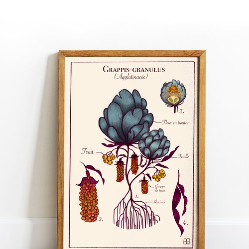 Affiche illustrée "grappis-granulus"