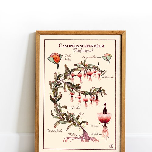 Affiche illustrée "canopéum-suspendeum".