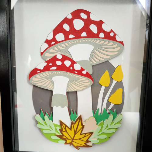Cadre 3d champignons