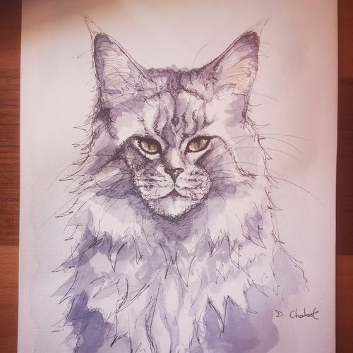 Portrait de chat peint à la main par mes soins main coon typé