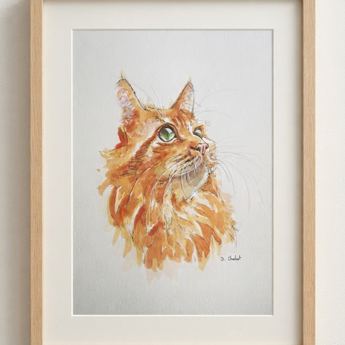 Aquarelle faite main portrait de chat "le roux sacré"
