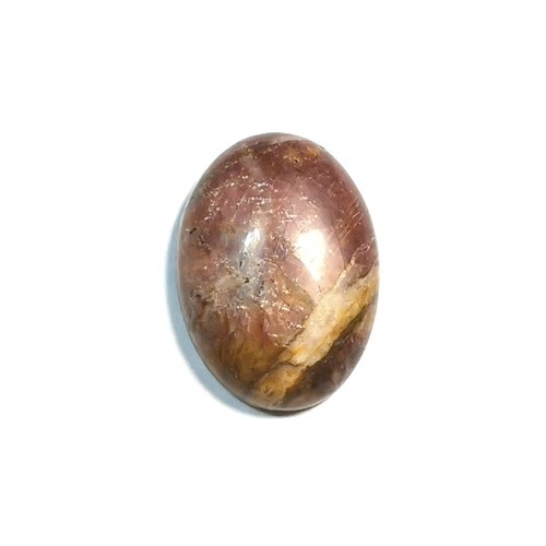 Cabochon jaspe picasso 25 mm x 18 mm
