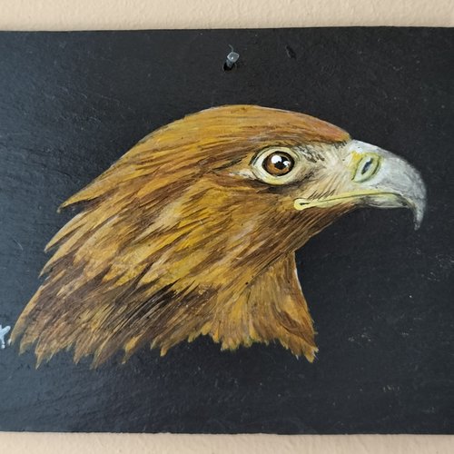 Aigle peinture acrylique sur ardoise