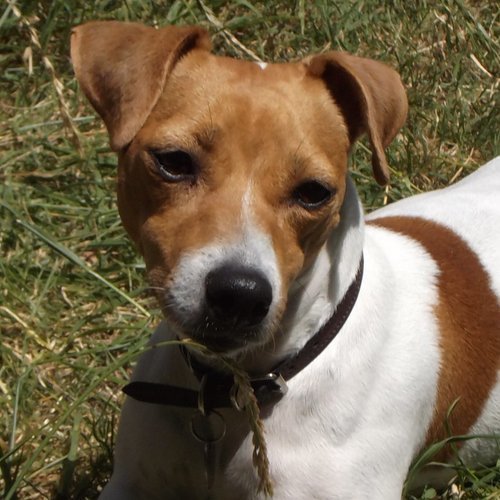 Brigitte personnalisation