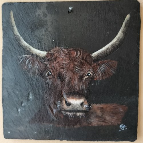 Vache salers peinture acrylique sur ardoise