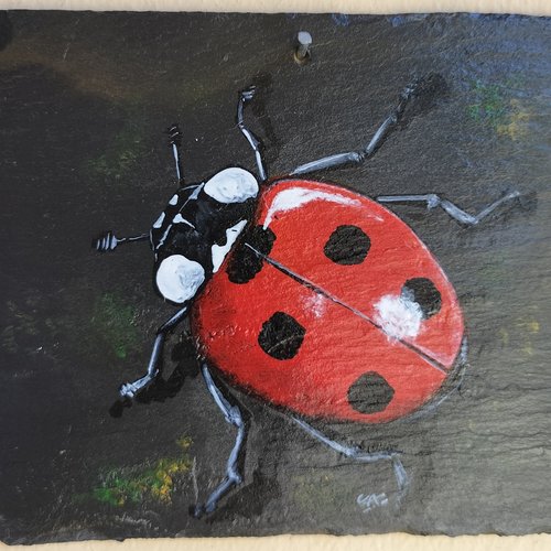 Coccinelle peinture acrylique sur ardoise