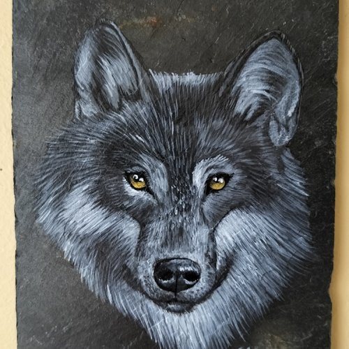 Loup peinture acrylique sur ardoise