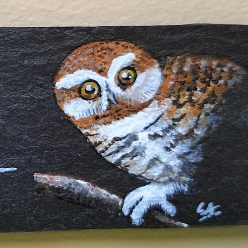 Bienvenue chouette peinture acrylique sur ardoise
