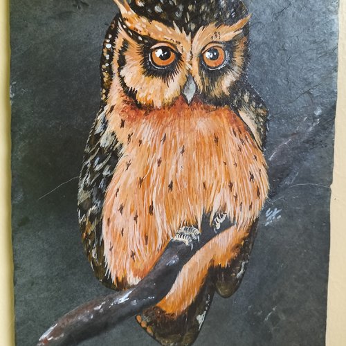 Chouette peinture acrylique