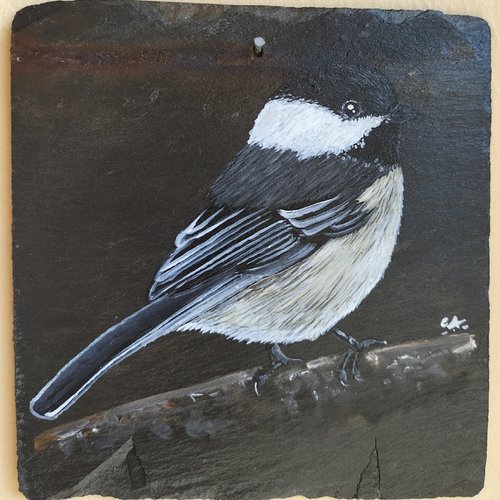 Mésange peinture acrylique sur ardoise