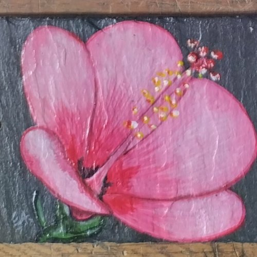 Plaque bienvenue fleur hibiscus
