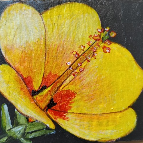 Plaque hibiscus bienvenue chez papi