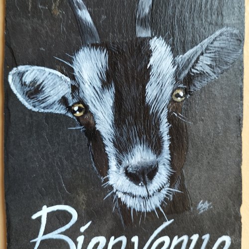 Plaque de maison chèvre sur ardoise