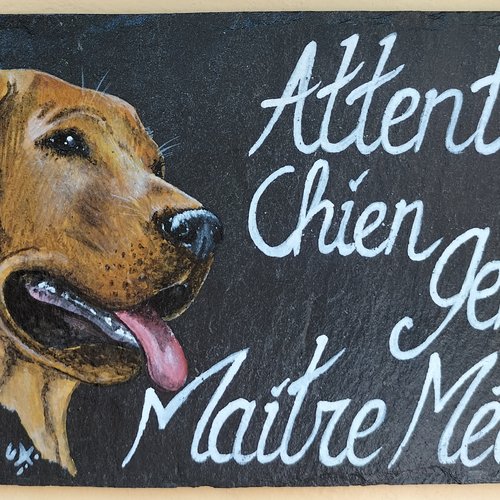 Attention au chien humour