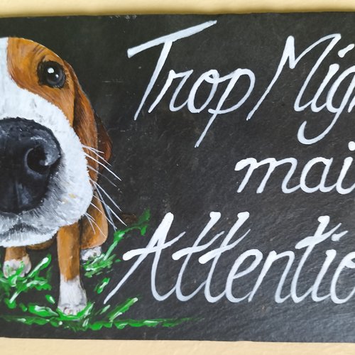 Attention au chien
