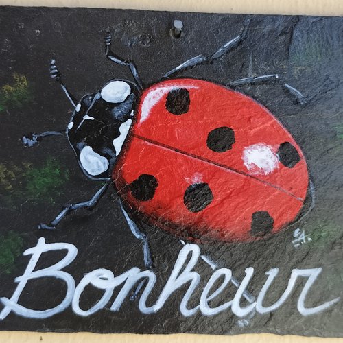 Coccinelle bonheur coccinelle