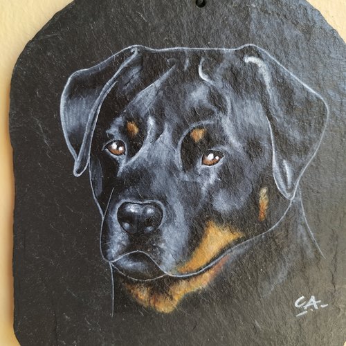 Rottweiler peinture acrylique sur ardoise