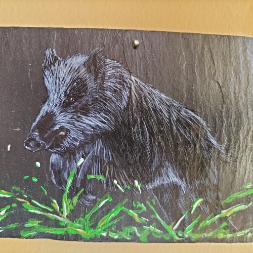 Sanglier peinture acrylique sur ardoise