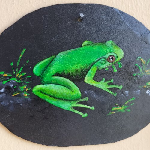 Plaque grenouille verte peinture animalière sur ardoise