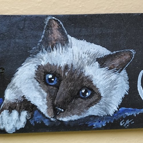 Plaque bienvenue en ardoise avec chat siamois