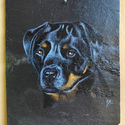 Rottweiler peinture acrylique sur ardoise