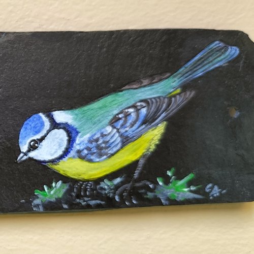 Bienvenue mésange
