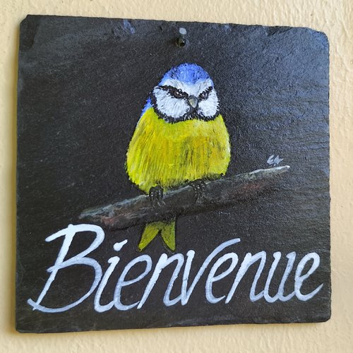Mésange bienvenue sur ardoise