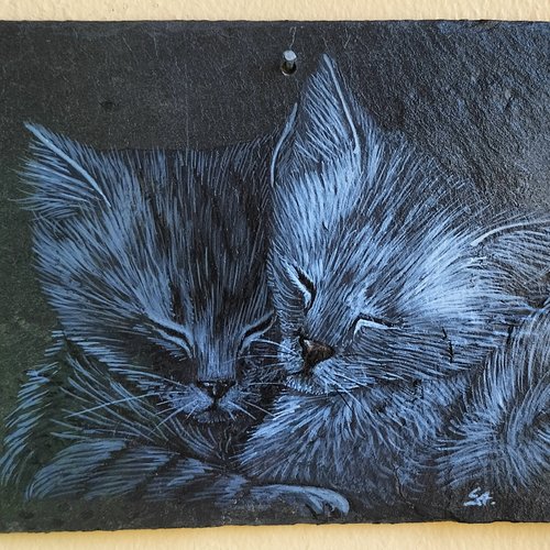 Chat peinture acrylique sur ardoise