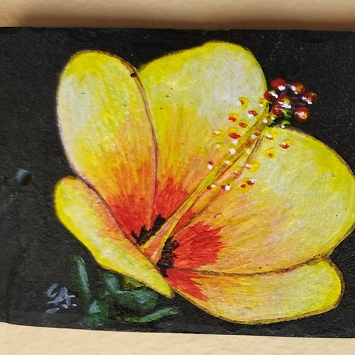 Plaque hibiscus bienvenue chez papi