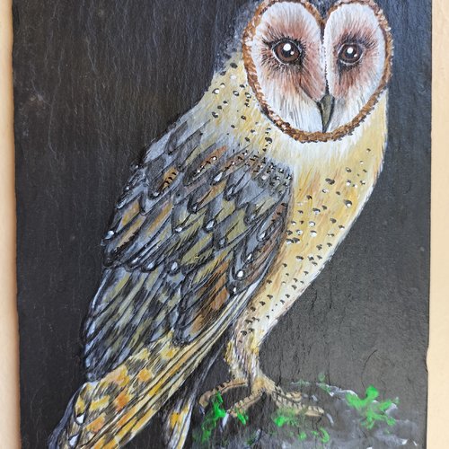 Chouette effraie peinture acrylique