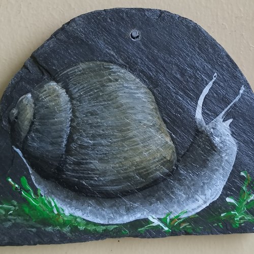 Escargot peinture animalière