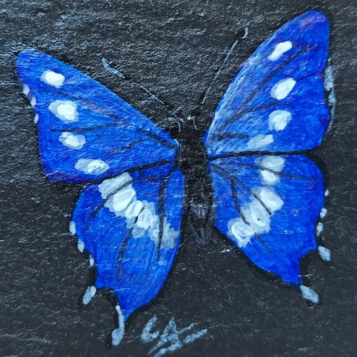 Papillon bienvenue chez mamie