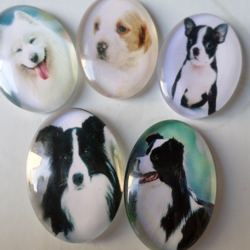 X 5 mixte camée/cabochon ovale en verre motif chien multicolore 25 x 18 mm @8