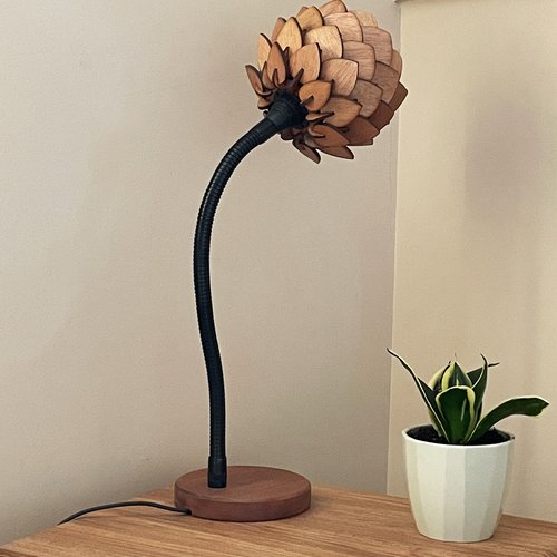 Lampe à poser bois exotique – col de cygne flexible & abat-jour végétal