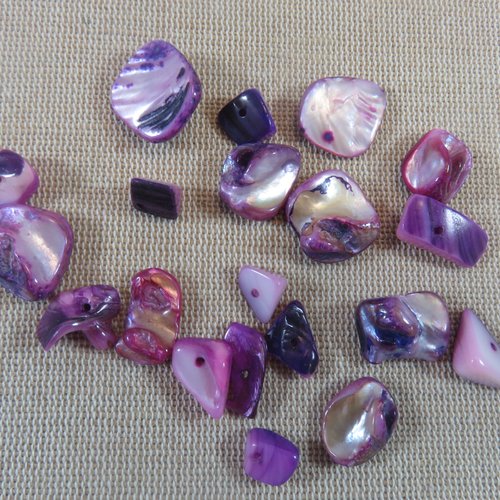 Perles coquille violette forme irrégulière chips - lot de 10