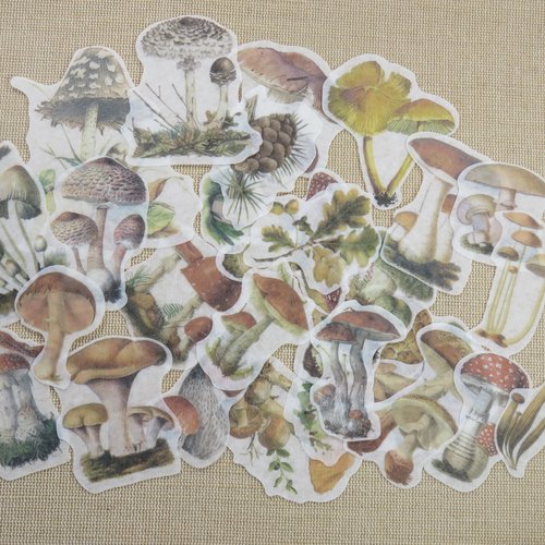 Stickers champignon automne scrapbooking - lot de 30 étiquettes papier autocollant