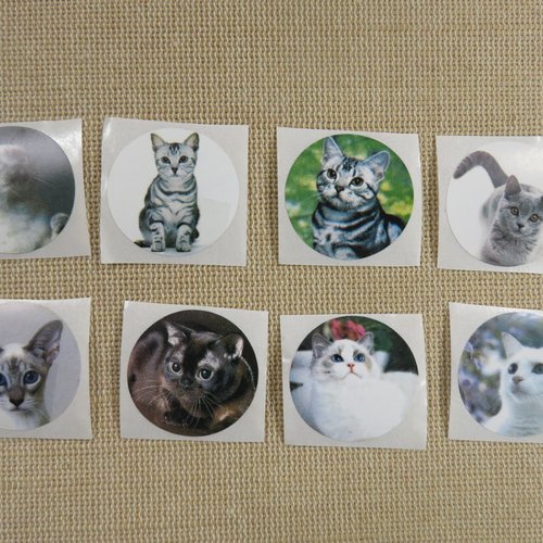 Étiquettes animaux chat autocollante - lot de 25 stickers rond 25mm