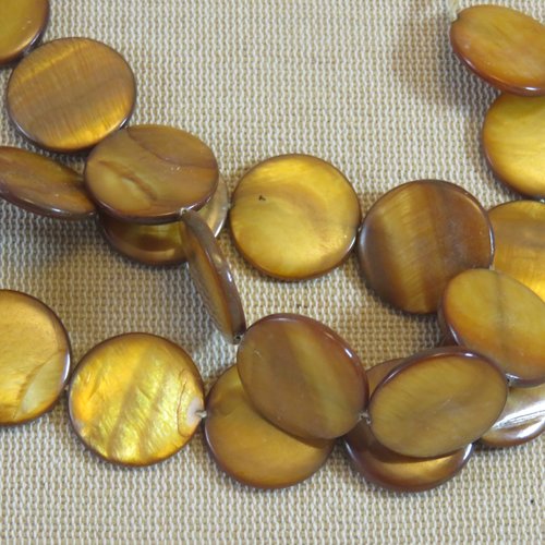 Perles coquile palet marron nacré rond 20mm - lot de 5