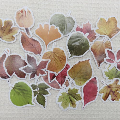 Étiquettes autocollant feuille scrapbooking - 23 stickers papier autocollant
