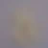 Perles rondelle palet bois crème 8mm - lot de 30