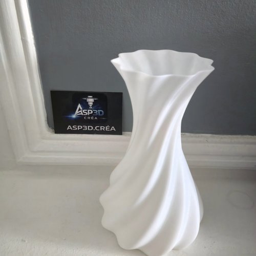 Vase design torsadé idéal fleurs séchées