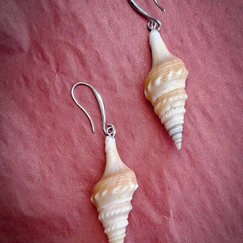 Boucles d'oreilles blanches pendantes en véritable coquillage naturel