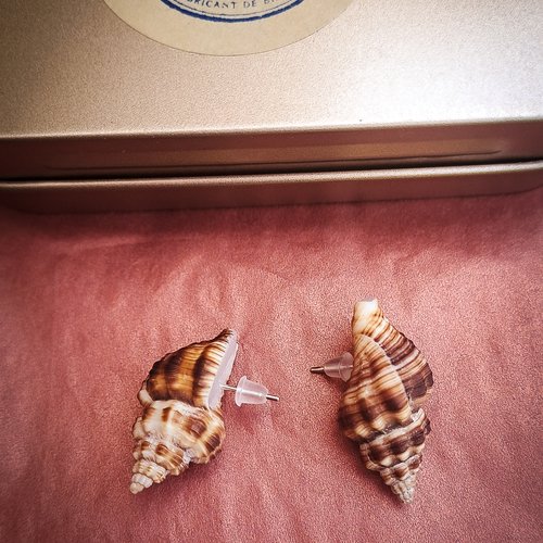 Clous d'oreilles en véritable coquillage naturel